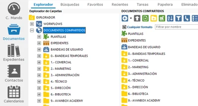 Explorador de Avanbox Core, con el árbol de carpetas a la izquierda y los documentos a la derecha